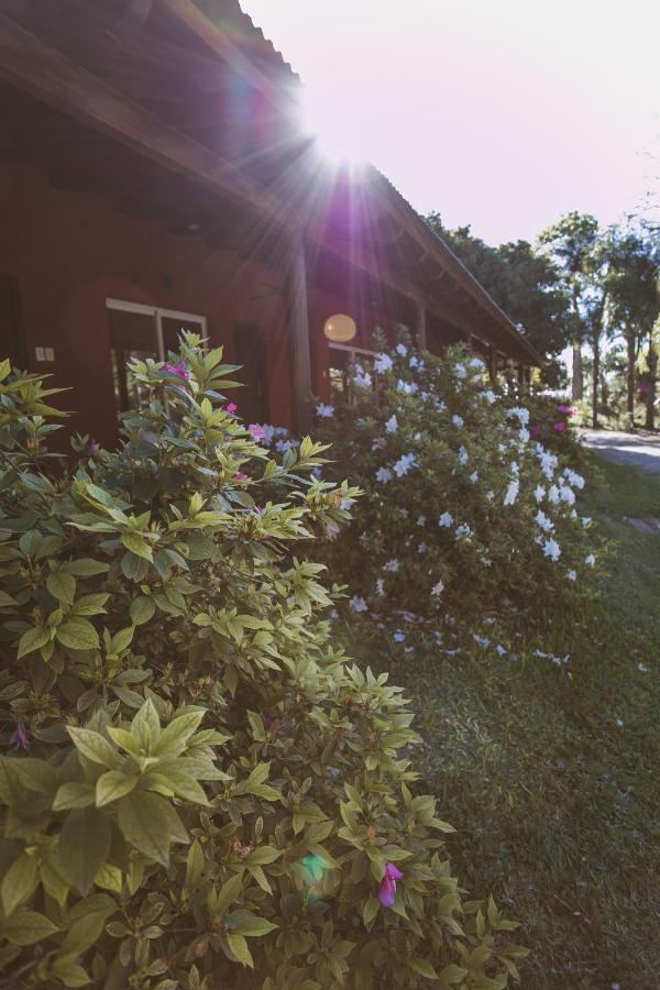 Aparthotel Rio Arriba & & Resto 4*