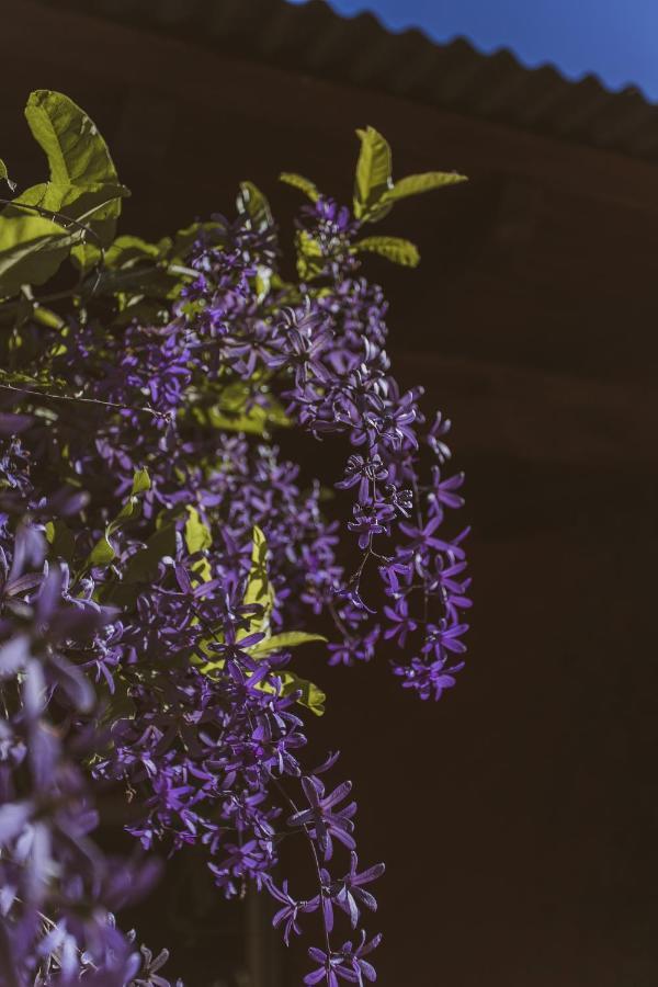 Rio Arriba & & Resto Bella Vista (Corrientes)